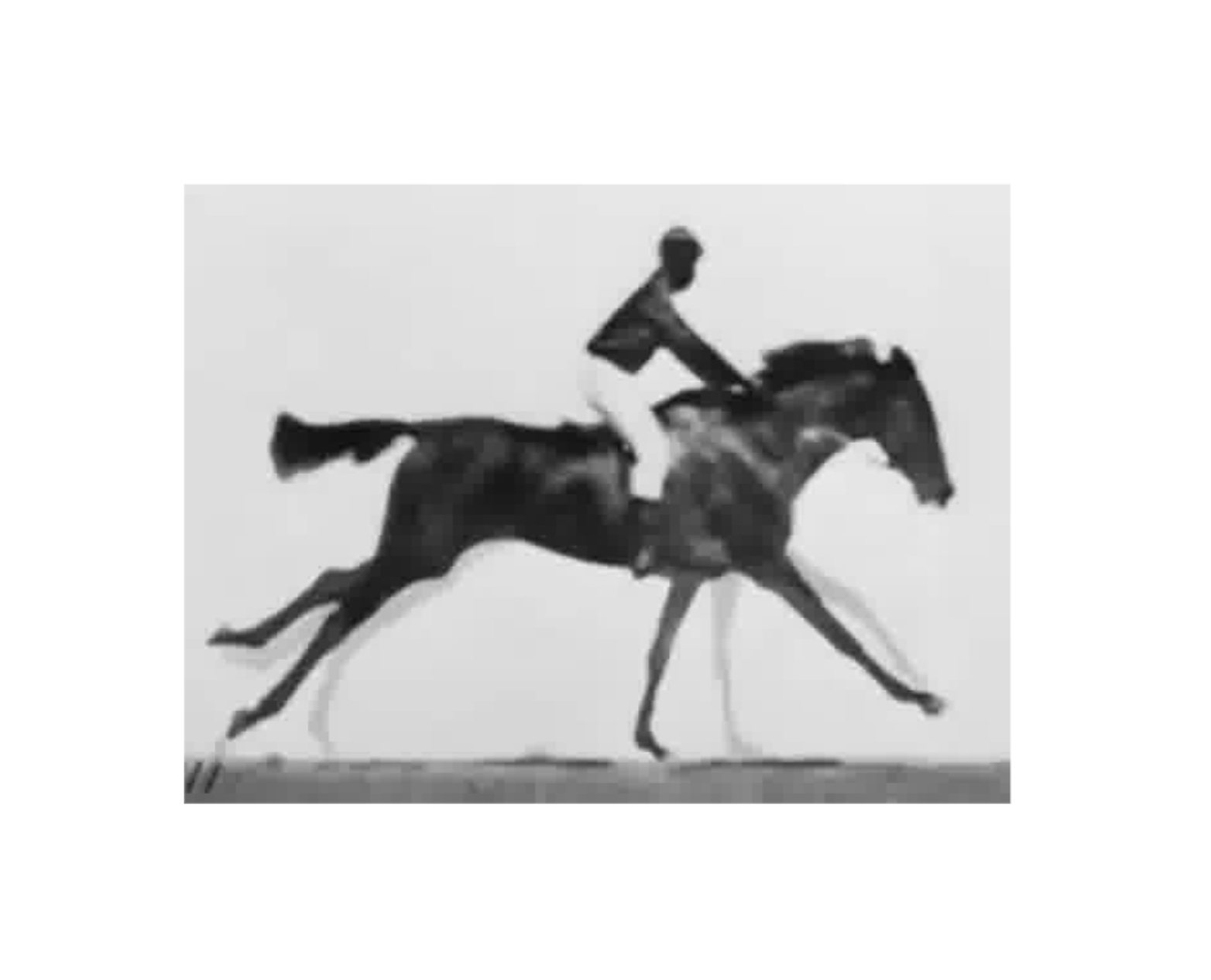 Interactive Flipbook Preview